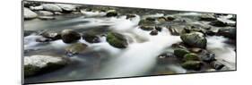 Rocks in a River, Little Pigeon River, Great Smoky Mountains National Park, Tennessee, USA-null-Mounted Photographic Print