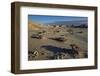 Rocks in the Badlands, Bisti Wilderness, New Mexico, United States of America, North America-James Hager-Framed Photographic Print