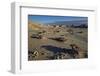 Rocks in the Badlands, Bisti Wilderness, New Mexico, United States of America, North America-James Hager-Framed Photographic Print