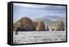 Rocks in the Sea, Cabo San Lucas, Mexico-George Oze-Framed Stretched Canvas