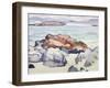 Rocks, Iona-Samuel John Peploe-Framed Giclee Print