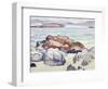 Rocks, Iona-Samuel John Peploe-Framed Giclee Print