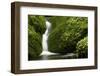Rocks, Moss, Brook Nature, Moss-Grows Over, Forest Brook, Forest, Rock, Mossy, Water, Habitat-Ronald Wittek-Framed Premium Photographic Print