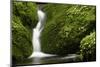 Rocks, Moss, Brook Nature, Moss-Grows Over, Forest Brook, Forest, Rock, Mossy, Water, Habitat-Ronald Wittek-Mounted Premium Photographic Print