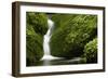 Rocks, Moss, Brook Nature, Moss-Grows Over, Forest Brook, Forest, Rock, Mossy, Water, Habitat-Ronald Wittek-Framed Photographic Print