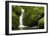 Rocks, Moss, Brook Nature, Moss-Grows Over, Forest Brook, Forest, Rock, Mossy, Water, Habitat-Ronald Wittek-Framed Photographic Print