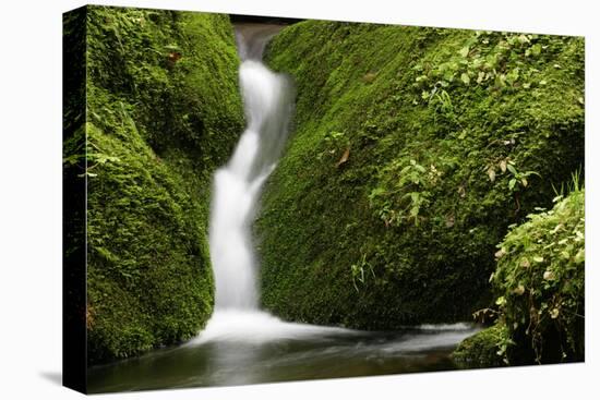 Rocks, Moss, Brook Nature, Moss-Grows Over, Forest Brook, Forest, Rock, Mossy, Water, Habitat-Ronald Wittek-Stretched Canvas