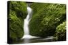 Rocks, Moss, Brook Nature, Moss-Grows Over, Forest Brook, Forest, Rock, Mossy, Water, Habitat-Ronald Wittek-Stretched Canvas