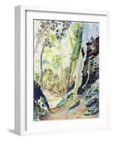 Rocks Near Nowra, N.S.W. Australia-Robert Tyndall-Framed Giclee Print