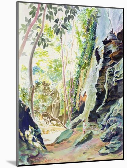 Rocks Near Nowra, N.S.W. Australia-Robert Tyndall-Mounted Giclee Print