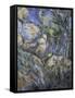 Rocks near the Caves above Chateau Noir, c.1904-Paul Cézanne-Framed Stretched Canvas