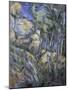 Rocks near the Caves above Chateau Noir, c.1904-Paul Cézanne-Mounted Giclee Print