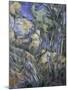 Rocks near the Caves above Chateau Noir, c.1904-Paul Cézanne-Mounted Giclee Print