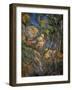 Rocks near the caves above Chateau-Noir. Oil on canvas, 1904 65 x 54 cm R.F. 1978-32 .-Paul Cezanne-Framed Giclee Print