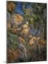 Rocks near the caves above Chateau-Noir. Oil on canvas, 1904 65 x 54 cm R.F. 1978-32 .-Paul Cezanne-Mounted Giclee Print