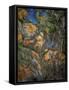 Rocks near the caves above Chateau-Noir. Oil on canvas, 1904 65 x 54 cm R.F. 1978-32 .-Paul Cezanne-Framed Stretched Canvas