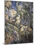 Rocks Near the Caves Below the Chateau Noir-Paul Cézanne-Mounted Art Print