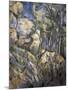 Rocks Near the Caves Below the Chateau Noir-Paul Cézanne-Mounted Art Print