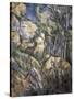 Rocks Near the Caves Below the Chateau Noir-Paul Cézanne-Stretched Canvas