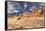Rocks of Sahara Desert, Tassili N'ajjer, Algeria-DmitryP-Framed Stretched Canvas