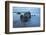 Rocks on beach at low tide at dawn, Bigbury-on-Sea, Devon, England, United Kingdom, Europe-Stuart Black-Framed Photographic Print