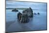 Rocks on beach at low tide at dawn, Bigbury-on-Sea, Devon, England, United Kingdom, Europe-Stuart Black-Mounted Photographic Print