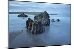 Rocks on beach at low tide at dawn, Bigbury-on-Sea, Devon, England, United Kingdom, Europe-Stuart Black-Mounted Photographic Print