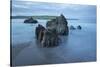 Rocks on beach at low tide at dawn, Bigbury-on-Sea, Devon, England, United Kingdom, Europe-Stuart Black-Stretched Canvas