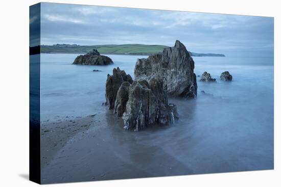 Rocks on beach at low tide at dawn, Bigbury-on-Sea, Devon, England, United Kingdom, Europe-Stuart Black-Stretched Canvas