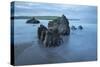 Rocks on beach at low tide at dawn, Bigbury-on-Sea, Devon, England, United Kingdom, Europe-Stuart Black-Stretched Canvas