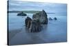 Rocks on beach at low tide at dawn, Bigbury-on-Sea, Devon, England, United Kingdom, Europe-Stuart Black-Stretched Canvas