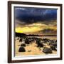 Rocks on Beach-null-Framed Photographic Print