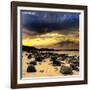 Rocks on Beach-null-Framed Photographic Print