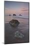 Rocks on the Beach at Dawn, Bandon Beach, Oregon, United States of America, North America-James Hager-Mounted Photographic Print