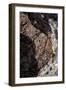 Rocks on the beach, Cap de Creus, Costa Brava, Catalonia, Spain-Peter Kreil-Framed Photographic Print