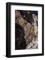 Rocks on the beach, Cap de Creus, Costa Brava, Catalonia, Spain-Peter Kreil-Framed Photographic Print
