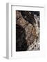 Rocks on the beach, Cap de Creus, Costa Brava, Catalonia, Spain-Peter Kreil-Framed Photographic Print