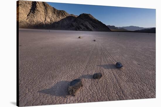 Rocks on the Racetrack Death Valley-Steve Gadomski-Stretched Canvas