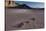 Rocks on the Racetrack Death Valley-Steve Gadomski-Stretched Canvas