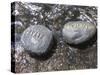 Rocks with the Words Imagine and Create in Water-null-Stretched Canvas