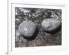 Rocks with the Words Imagine and Create in Water-null-Framed Photographic Print