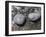 Rocks with the Words Imagine and Create in Water-null-Framed Photographic Print