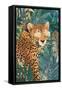 Rockstar cheetah in the jungle-Sarah Manovski-Framed Stretched Canvas