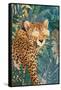 Rockstar cheetah in the jungle-Sarah Manovski-Framed Stretched Canvas