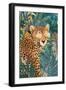 Rockstar cheetah in the jungle-Sarah Manovski-Framed Giclee Print