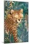 Rockstar cheetah in the jungle-Sarah Manovski-Mounted Giclee Print