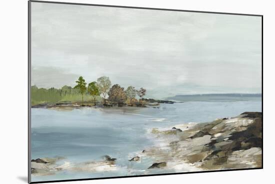 Rocky Beach Views-Allison Pearce-Mounted Art Print