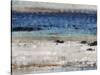 Rocky Beach-Tim O'toole-Stretched Canvas