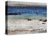 Rocky Beach-Tim O'toole-Stretched Canvas