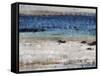 Rocky Beach-Tim O'toole-Framed Stretched Canvas